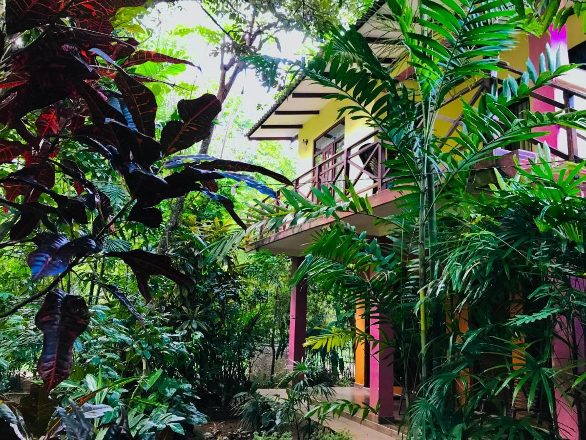Gangadiya Lodge Szigirija Kültér fotó